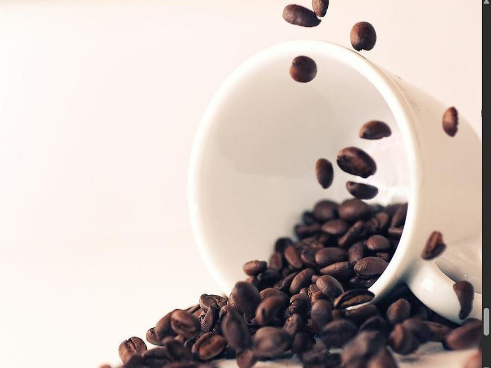 Umgekippte weiße Tasse, aus der geröstete Kaffeebohnen herausfallen, vor hellem cremefarbenem Hintergrund