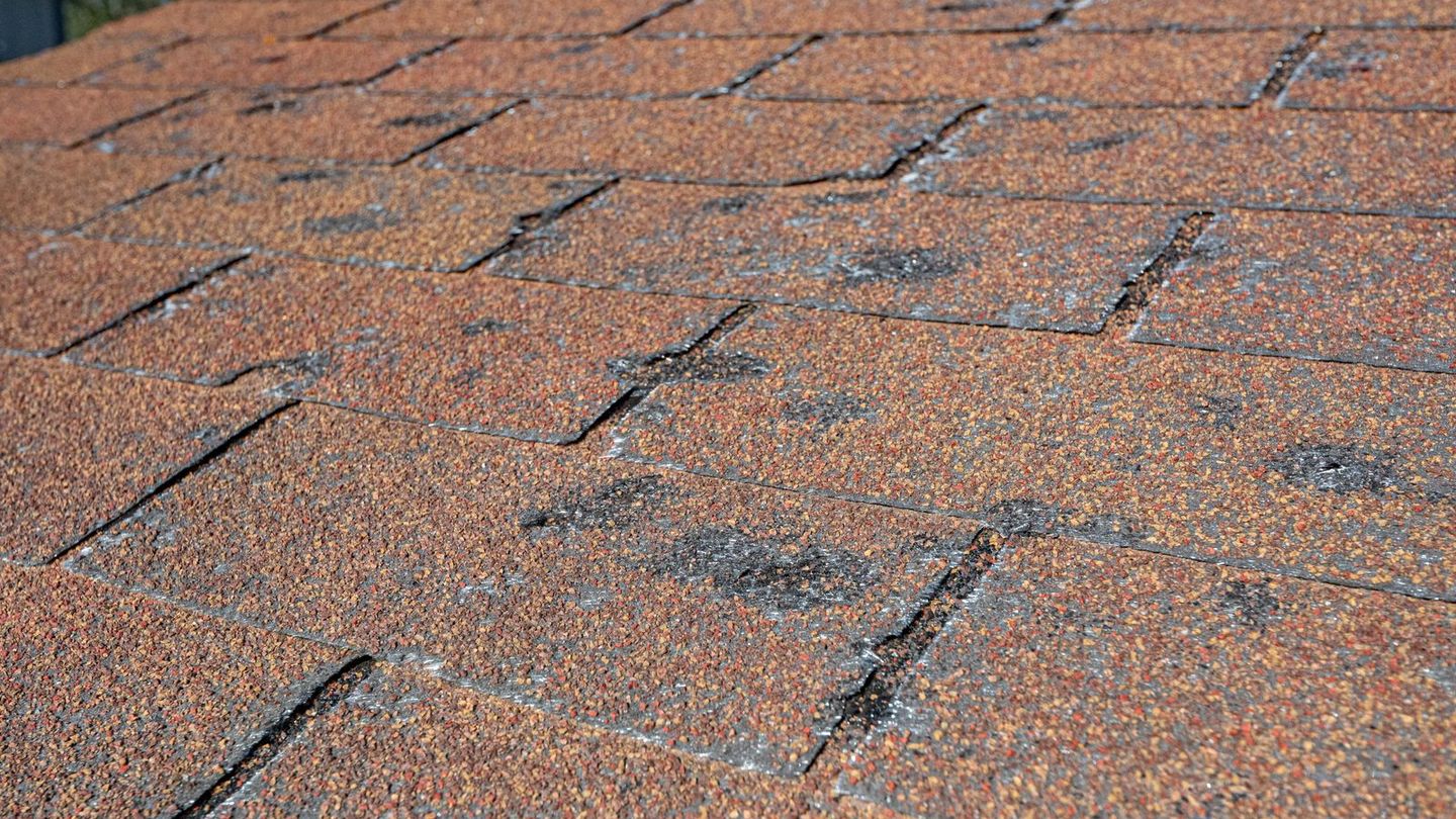 Close-up of shingles with hail marks and lost granules